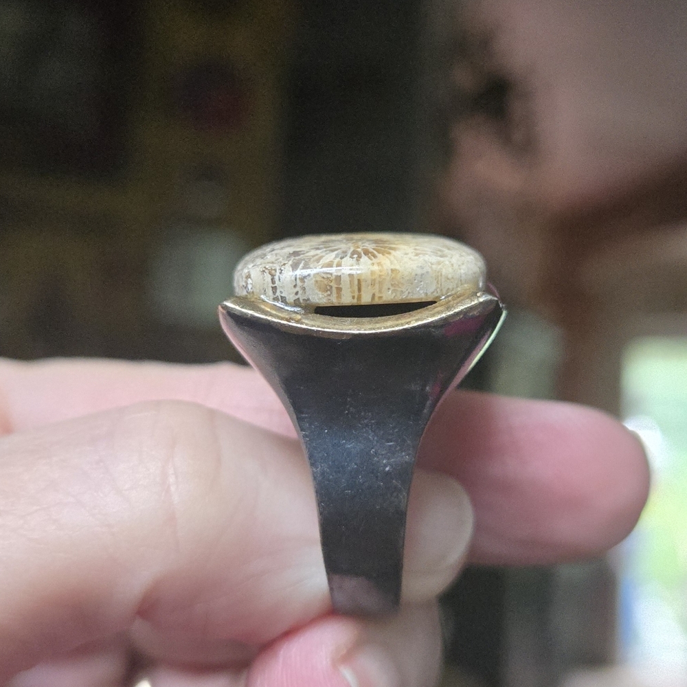Coral Fossil Stone sterling rhodium & gold Ring sz9 - Picture 5 of 8